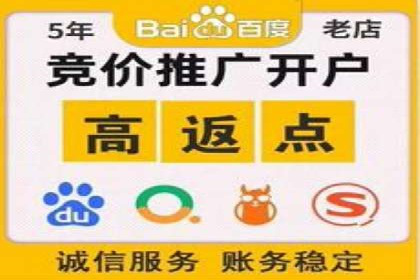 行业领先企业的SEM推广代运营实战经验